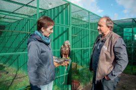 En 2019, Ludovic Bourqui et son équipe se sont occupés d’environ 1 200 animaux, un record. La majorité a pu retrouver la liberté. / © Christine Wuillemin