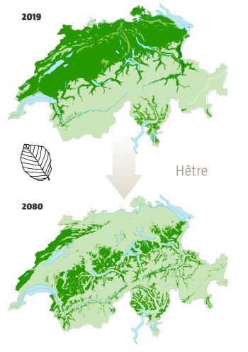 © Cartes : Niklaus Zimmermann / wsl