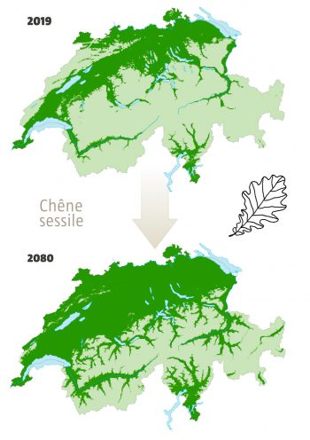 © Cartes : Niklaus Zimmermann / wsl