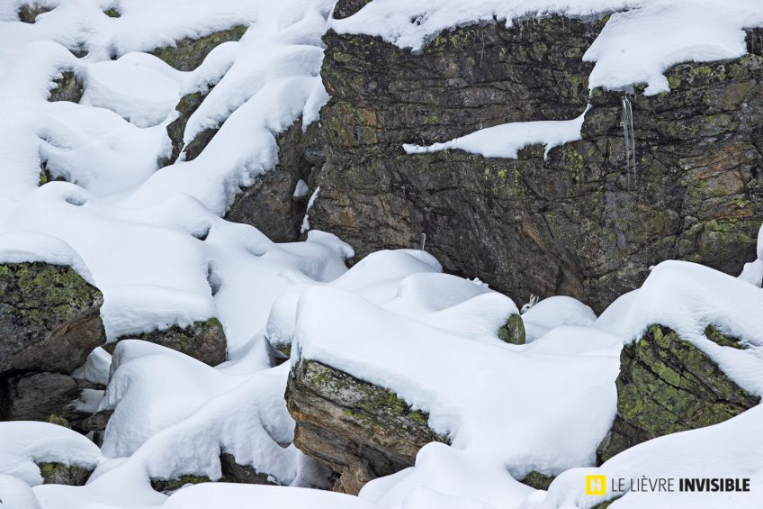 Le-lievre-invisible-E1-6