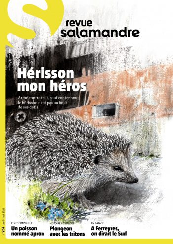 Couverture de La Salamandre n°257