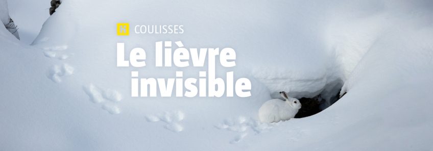 Header Coulisses Le lièvre invisible