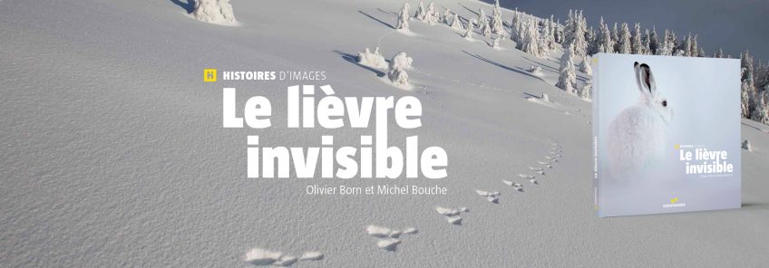 Header Présentation Le lièvre invisible