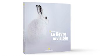 Histoires d'images Le lièvre invisible