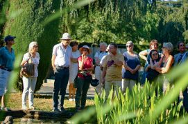 © Sauvageons en ville