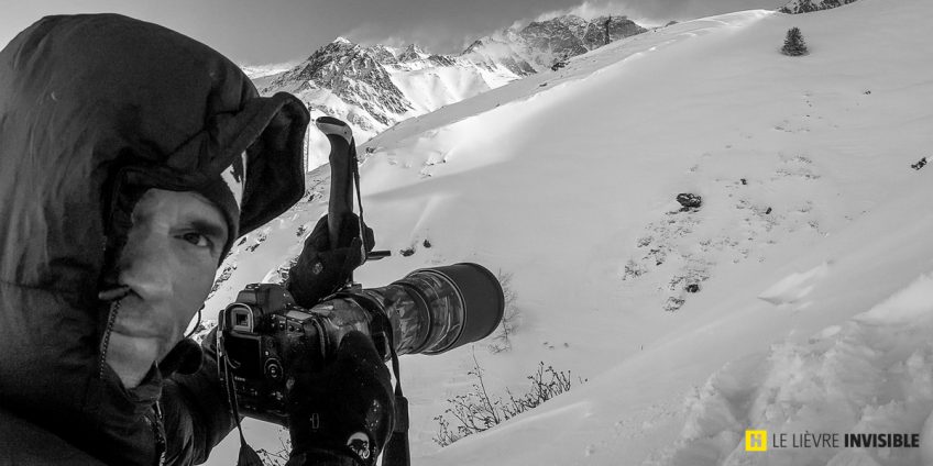 Le lièvre invisible - coulisses