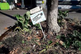 © Sauvageons en ville