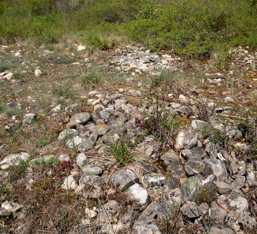 Clairière tapissée de gazon sec sur dalles de calcaire A la découverte d'un coin de Provence en Suisse au sarraz