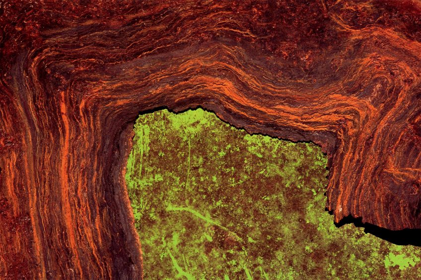 Couvercle de poubelle • Lac de la forêt d’Orient (Aube) janvier 2008 La rouille magnifiée par le photographe Philippe Racamier