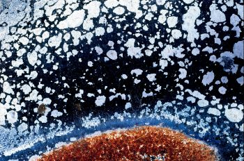 Est-ce la banquise du Groenland qui se disloque dans sa fonte inéluctable ?
Cuisinière brûlée et rouillée • Montbozon (Haute-Saône) juin 1996 Est-ce la banquise du Groenland qui se disloque dans sa fonte inéluctable ?
Cuisinière brûlée et rouillée • Montbozon (Haute-Saône) juin 1996