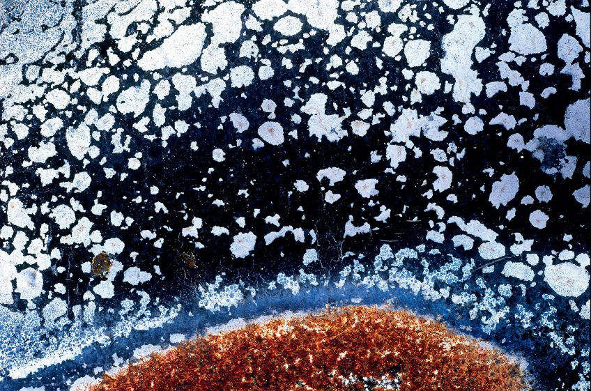 La rouille magnifiée par le photographe Philippe Racamier