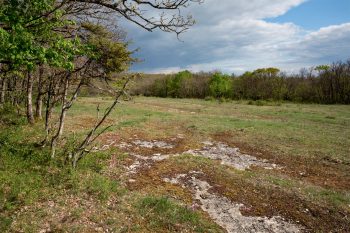 Le chemin traverse de belles clairières baignées de lumière.  Le chemin traverse de belles clairières baignées de lumière.
