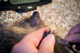 © Patrizia Wyss / Alamy