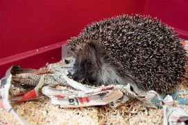 © Photoreportage : Christine Wuillemin