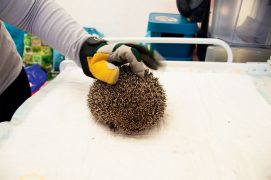 © Photoreportage : Christine Wuillemin