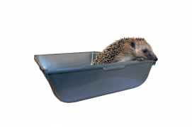 © Photoreportage : Christine Wuillemin