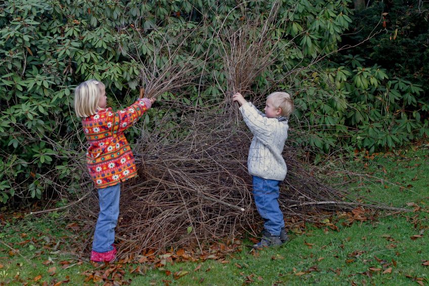Un jardin parfait pour le hérisson en 8 conseils