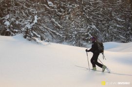 Michel Bouche sur les traces du lièvre blanc / © Marc Corail (PNE)  Michel Bouche sur les traces du lièvre blanc / © Marc Corail (PNE)