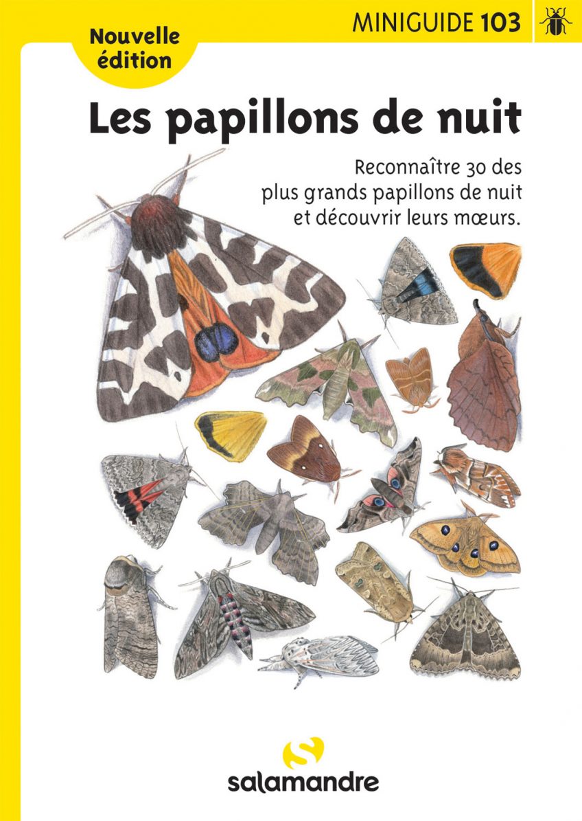 papillons de nuit 488 espèces observées dans un jardin en trois ans — free download