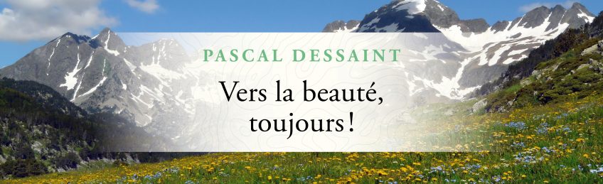 Livre de La Salamandre : Vers la beauté, toujours ! Pascal Dessaint
