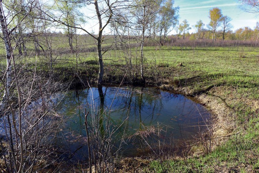 La nature protégée sur les terrains militaires français
