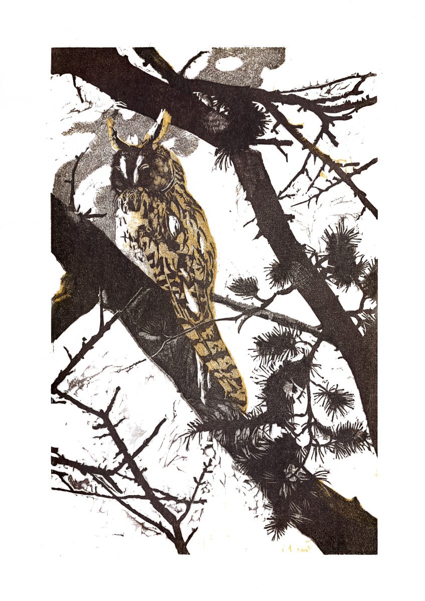 Hibou moyen-duc • Thorens-Glières (Haute-Savoie) • 24 février 1992 • gravure sur bois Hibou moyen-duc • Thorens-Glières (Haute-Savoie) • 24 février 1992 • gravure sur bois