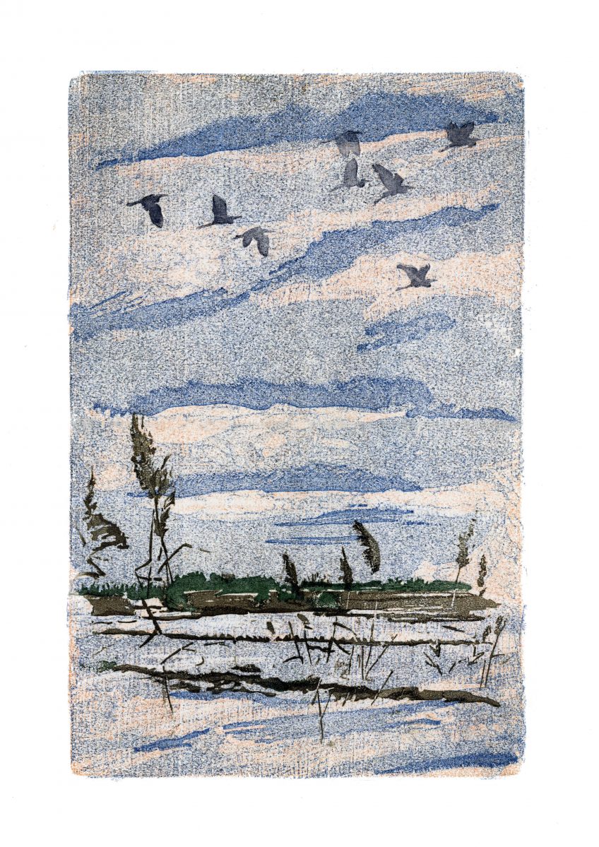 Vol de grandes aigrettes • Aigues-Mortes (Gard) • 26 janvier 2003 • gravure sur bois Vol de grandes aigrettes • Aigues-Mortes (Gard) • 26 janvier 2003 • gravure sur bois