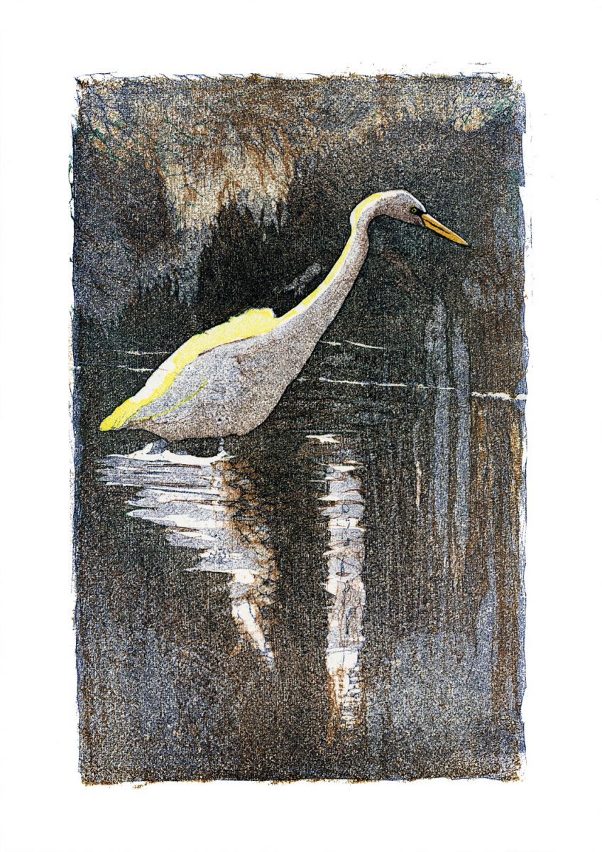 Grande aigrette • Le Crotoy (Somme) • février 2002 • gravure sur bois Grande aigrette • Le Crotoy (Somme) • février 2002 • gravure sur bois