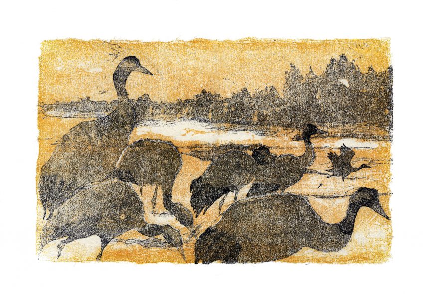 Grues au couchant • lac du Der (Marne) • 24 février 2000 • gravure sur bois Grues au couchant • lac du Der (Marne) • 24 février 2000 • gravure sur bois