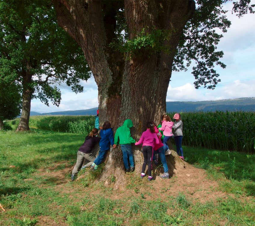 L'association Liane fait sortir les enfants en pleine nature