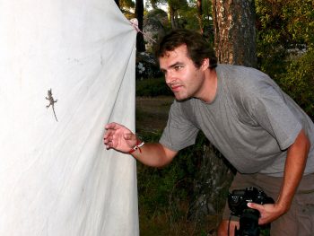 Pourquoi les lézards et autres reptiles changent-ils de peau ?