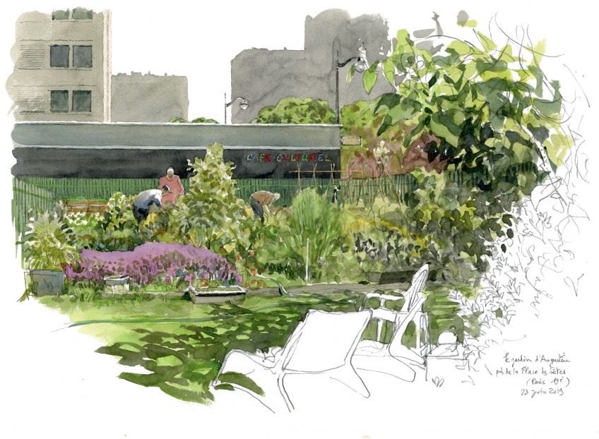 Le goût des plantes aromatiques au jardin en dessin