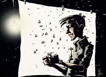 Comment observer les papillons de nuit avec un drap et une lampe ?