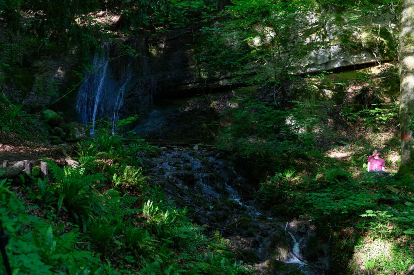 Tournage de "Nos Amis Sauvages" Documentaire animalier de 6x26 minutes coproduit par PointProd et la Radio Télévision Suisse