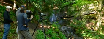 Documentaire animalier de 6x26 minutes coproduit par PointProd et la Radio Télévision Suisse