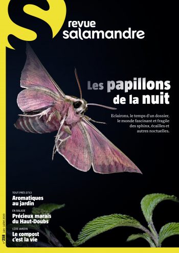 Revue Salamandre 258 papillons de nuit