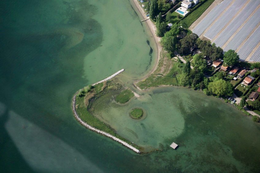 Vue aérienne de l’île aux Oiseaux Balade naturaliste le long de la Venoge, de mares en île