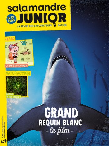 Couverture de La Salamandre Junior n°131