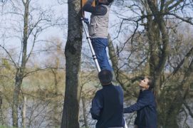 © Delphotos / Alamy