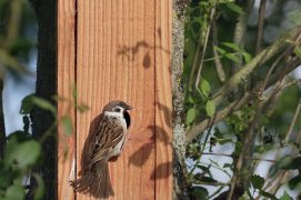 © Delphotos / Alamy