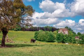 © Delphotos / Alamy