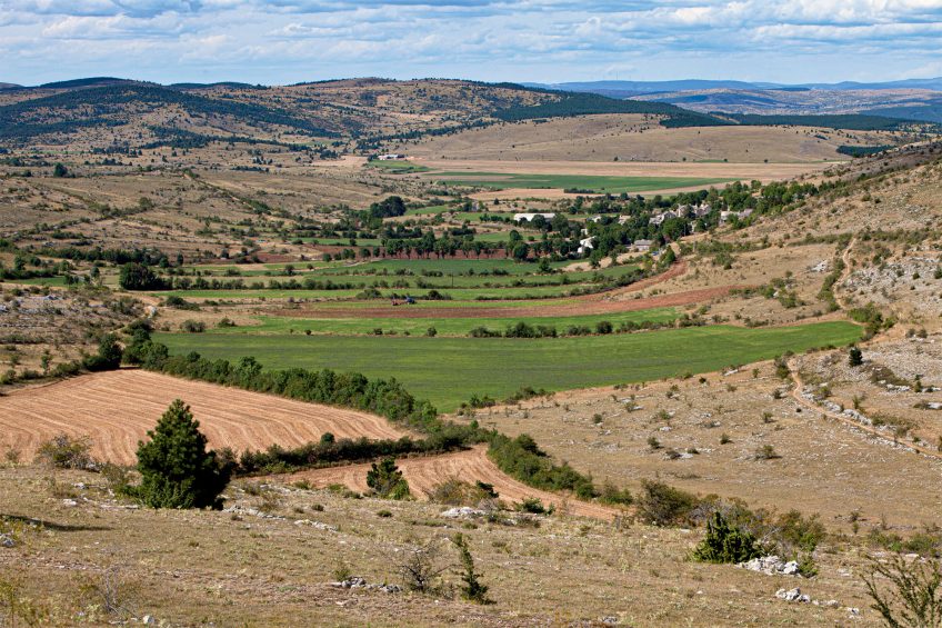 Habitat du Moineau soulcie