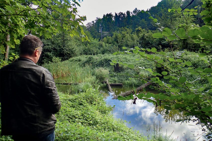 Balade naturaliste le long de la Venoge, de mares en île