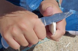 Commencez à tailler en poussant toujours le couteau vers l’extérieur. Ne détachez que de petits morceaux à la fois.