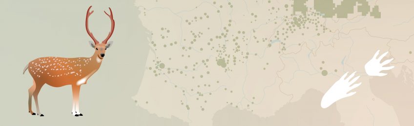 5 mammifères invasifs en Suisse infographie