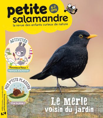 Couverture de La Petite Salamandre n°32
