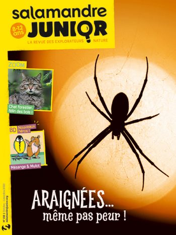 Couverture de La Salamandre Junior n°132