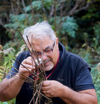 Balade en quête de champignons dans le Jura suisse