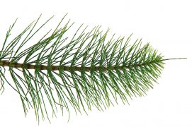 © emilio100 / stock.adobe.com