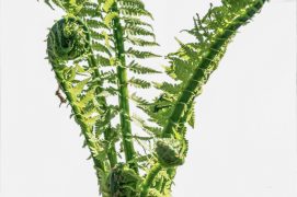 © vladk213 / stock.adobe.com